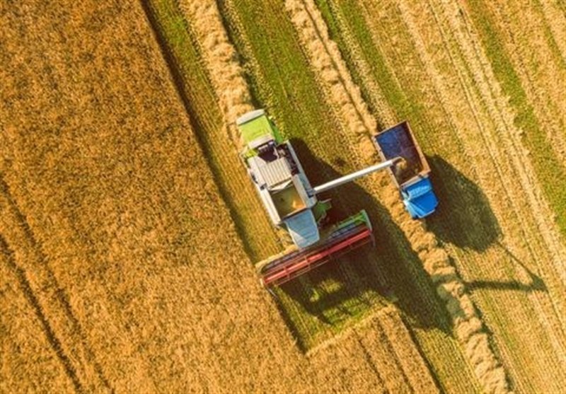  عدم‌توافق درباره نرخ خرید تضمینی گندم
